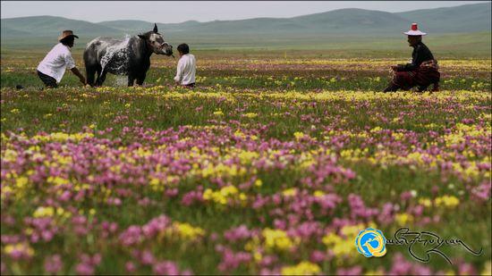 རྡོ་གྲགས་ཀྱི་གློག་བརྙན་བརྩམས་ཆོས་གཉིས་པ«རྨ་ཁུག་གྱི་ལིང»ཕབ་སྐྲུན་ལེགས་འགྲུབ་བྱུང་ཟིན།