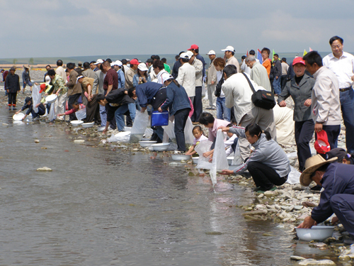 མཚོ་སྔོན་པོའི་ཙོང་ཉ་སྐྱོང་སྤེལ་དང་ཉ་གཟིགས་སྲོག་བླུའི་དུས་སྟོན་སྤེལ་བ།